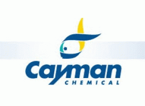 Cayman代理主圖