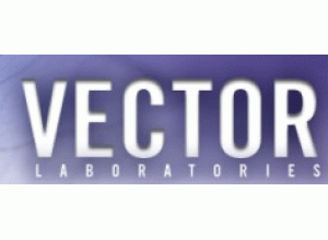Vector代理主圖