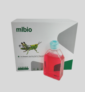 PG13逆轉錄病毒包被的TK-NIH3T3細胞主圖