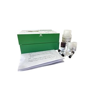 Caspase-4活性檢測試劑盒主圖