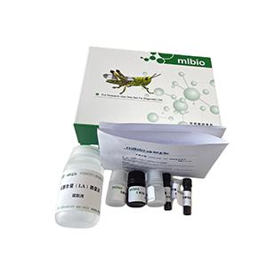 白蛋白含量檢測試劑盒微量法(溴甲酚紫顯色法)主圖