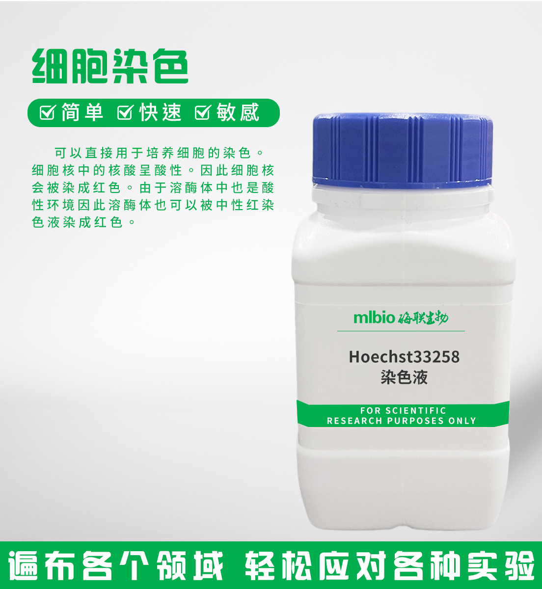 Hoechst33258染色液主圖