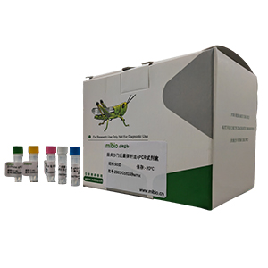 雙歧桿菌屬通用探針法qPCR試劑盒(不含內(nèi)參)主圖