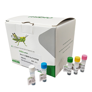鴨甲型肝炎病毒3型探針法qRT-PCR試劑盒(不含內(nèi)參)主圖