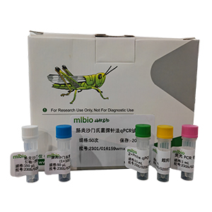 乙型肝炎病毒探針法qPCR試劑盒(不含內(nèi)參)主圖