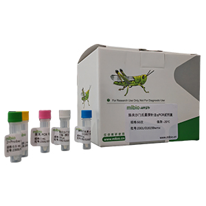 陰道加德納菌探針?lè)╭PCR試劑盒(不含內(nèi)參)主圖