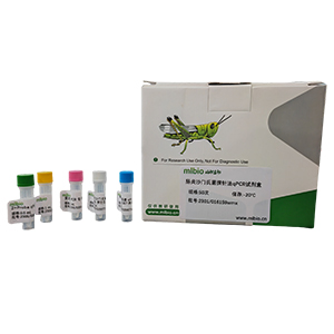 產氣腸桿菌探針法qPCR試劑盒(不含內參)主圖